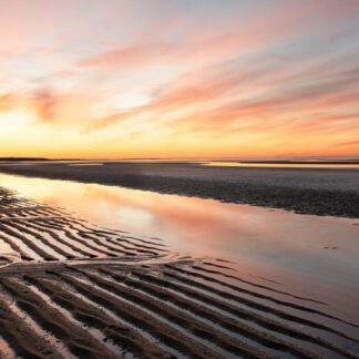 Crosby Beach Textures by Meg Clarke