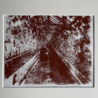 Cucumber Brown's Greenhouse by Dale McGrath