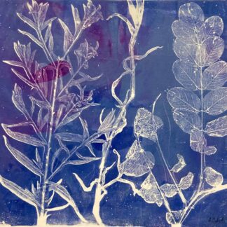 Spring Discoveries by Andrea Cybyk