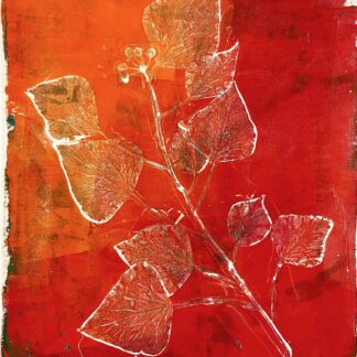 Summer Growth by Andrea Cybyk