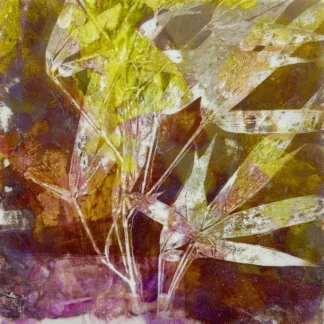 Fleeting Moments 3 by Andrea Cybyk