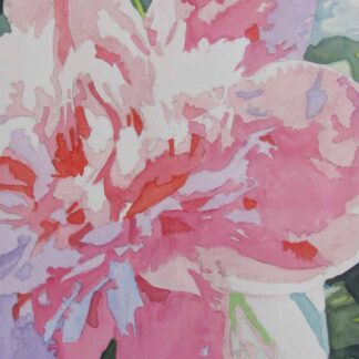 Pink Peony #2 by Anne Crown Cyr