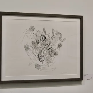 Nematology by Katie Runnerstrom