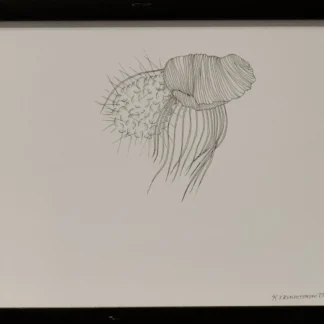 Biomorph 2 by Katie Runnerstrom
