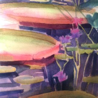 Longwood Waterlilies by Diane Dunn