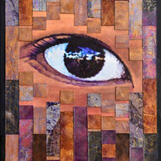 Hidden Observer by Sally Davies
