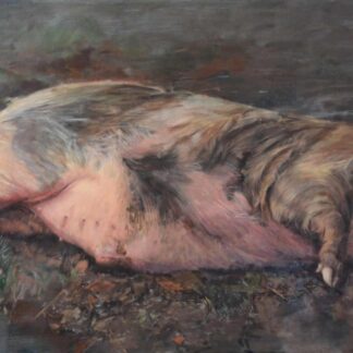 Socrates the Pig by Danni Dawson