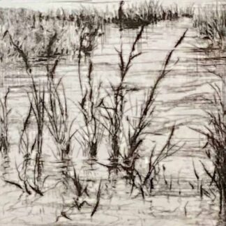 Cattails II by Daron DeCesare