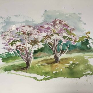 Spring by Maria DeVita