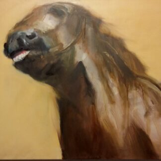 Horse 1 by Diana Derby