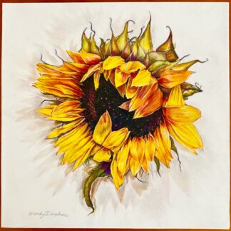Sun Bonnet by Wendy Donahoe