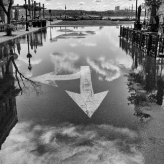 Which Way by Barry Dunn