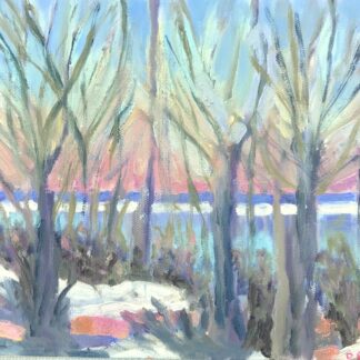 Winter Afternoon, Lake Ere by Diane Dunn