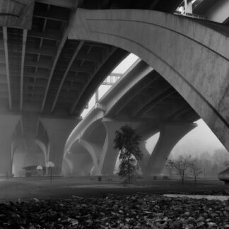 Under the Bridge by Barry Dunn