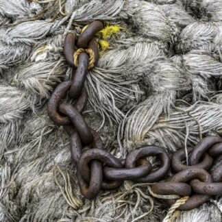 Chains by Barry Dunn