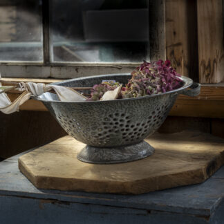 Hyacinth Resting by Gaetana Ebbole