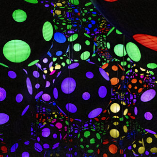 Dots and More Dots by Gaetana Ebbole
