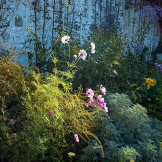 Fall Flowers by Gaetana Ebbole