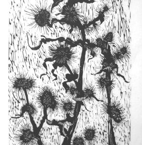 "Thistle" by Ed McCluney