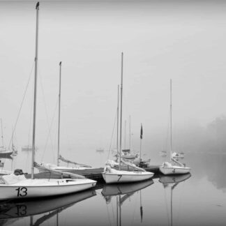 Foggy Morning Belle Haven Marina by Henry Egghart