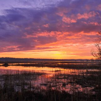 Dyke Marsh Sunrise by Henry Egghart