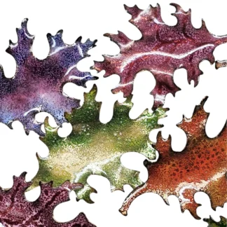 Enameling on Metal