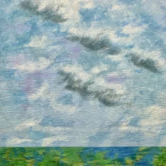Summer at North Graham Marsh by Sarah Entsminger