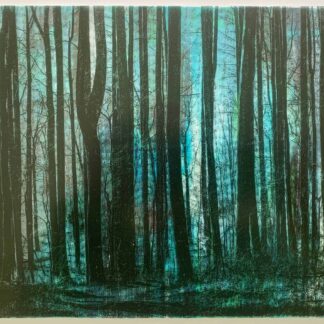 Woodland Walk by Sarah Entsminger