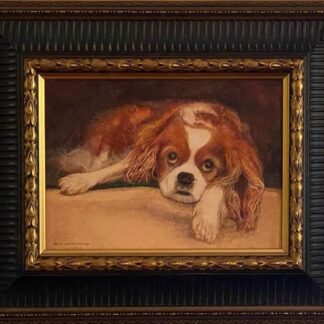 Toby by Donna Everage