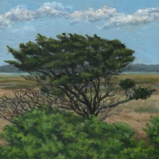 Wetlands VII - Lone Tree by Cindi Lewis