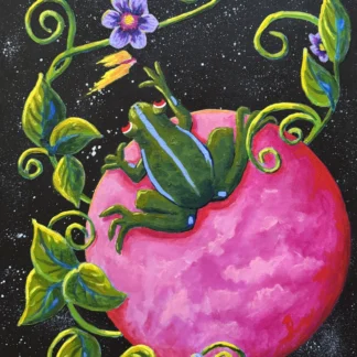 Frog and Fairy in Space by Nancy M Patrick