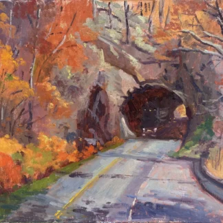 Falling into the Tunnel by Ann Tannous