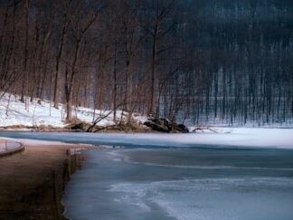 Winter at the Lake by Michael Farnham