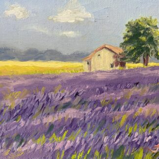 Petit Lavender Field by Maria Fiorella