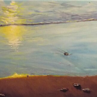 Moon Jellies Sunrise by David Fite