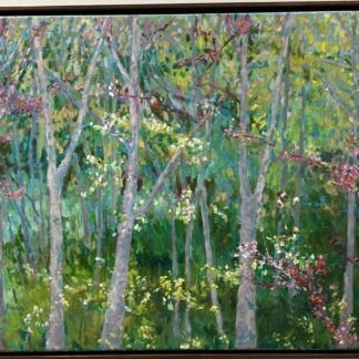Springtime in the Woods by Sheila Flanders