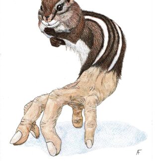 Scritter by Amanda Fletchersmith