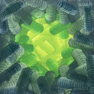 Glow Worm by Armand Fogels
