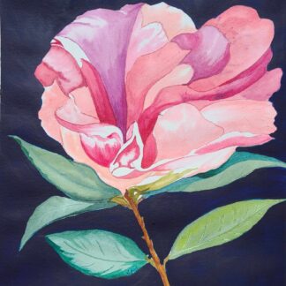 Primrose II by Rae Ann Francisco-Knopf