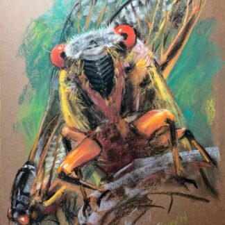 17 Year Visitor by Nancy Freeman