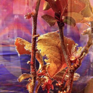Water and Air 1 by Nancy Freeman