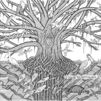Bird Sancturary by Bob Friedenberg