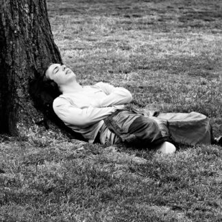 Mid-day Nap by Bob Friedman