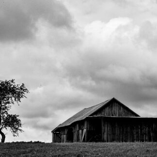 Storm Coming by Willa Friedman
