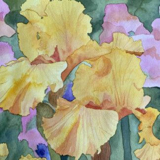Yellow Irises by Leigh Fulton