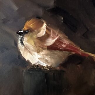 Little Sparrow by Mary Beth Gaiarin
