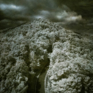 Vanishing Point by Caitlin Garvey