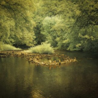 Stoney Creek, No. 2 by Caitlin Garvey