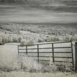 The Open Gate by Caitlin Garvey