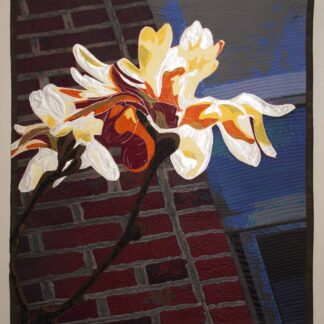 Sunlight in the City by Jayne Gaskins
